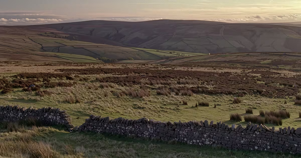 BEAST OF EXMOOR