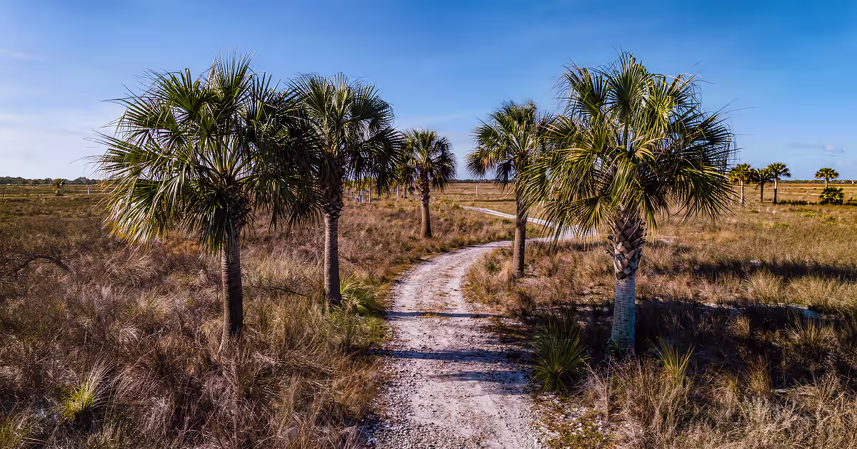 BROOKSVILLE