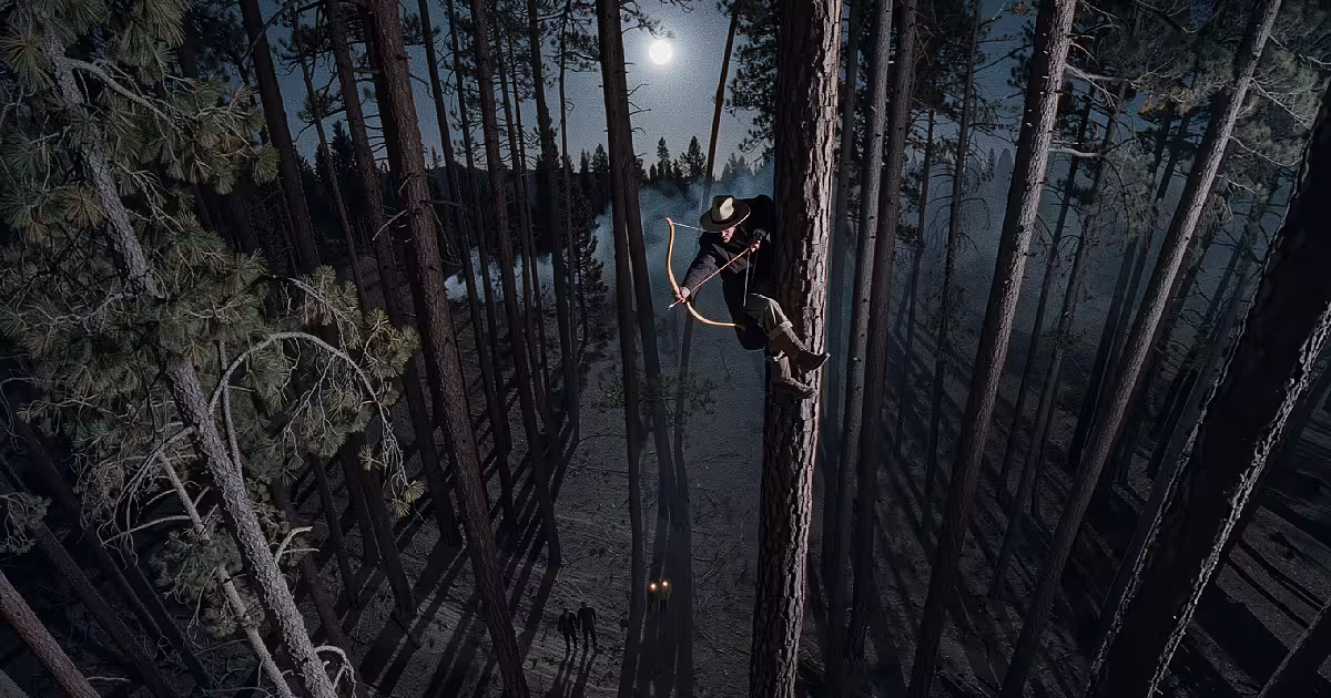 Pine forest at night. Tall tree, faint light below. Illustration.