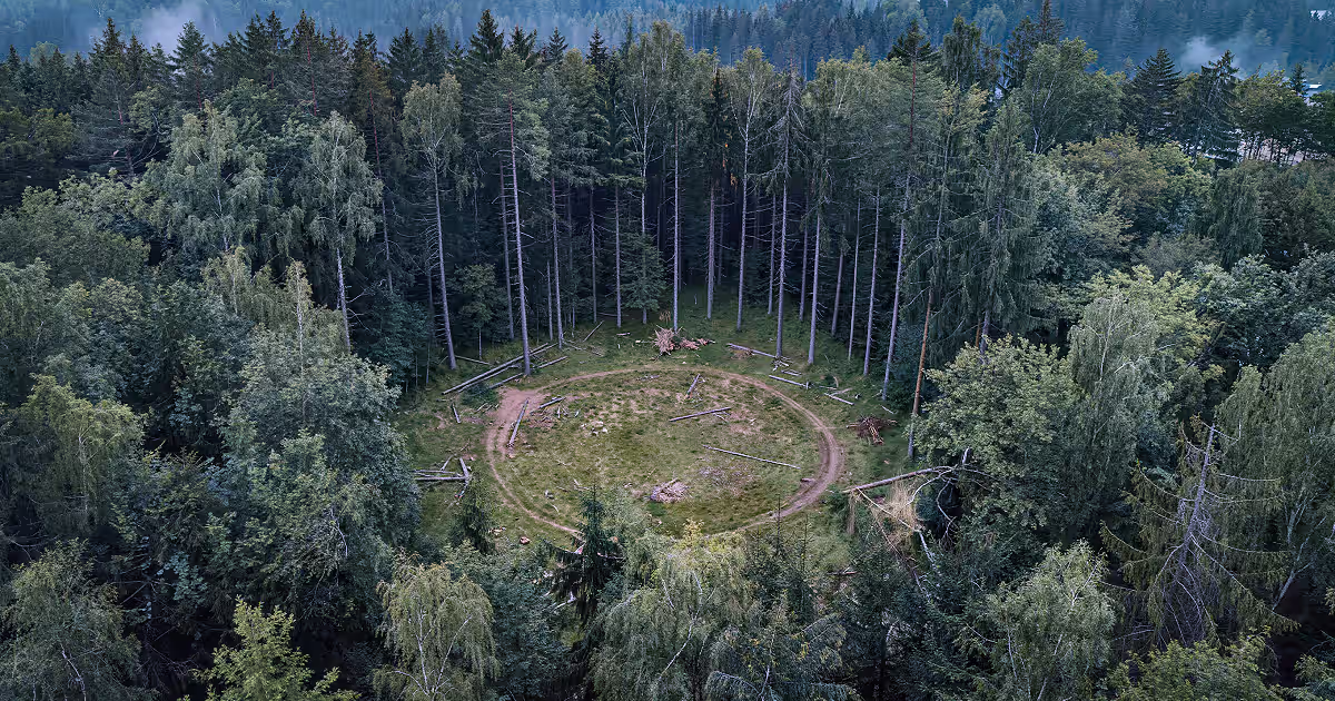 HOIA BACIU