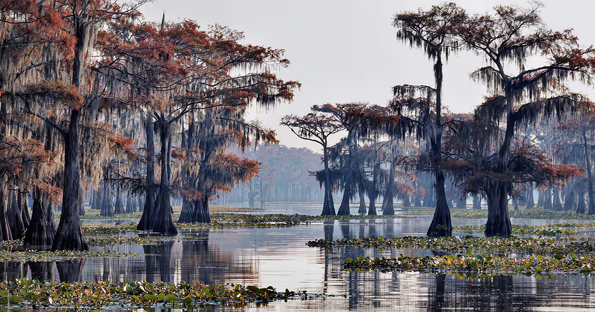 HONEY ISLAND