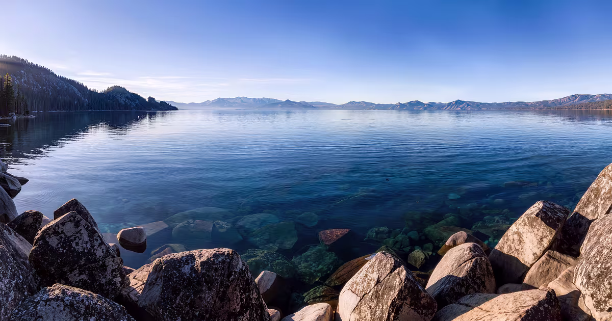 TAHOE TESSIE